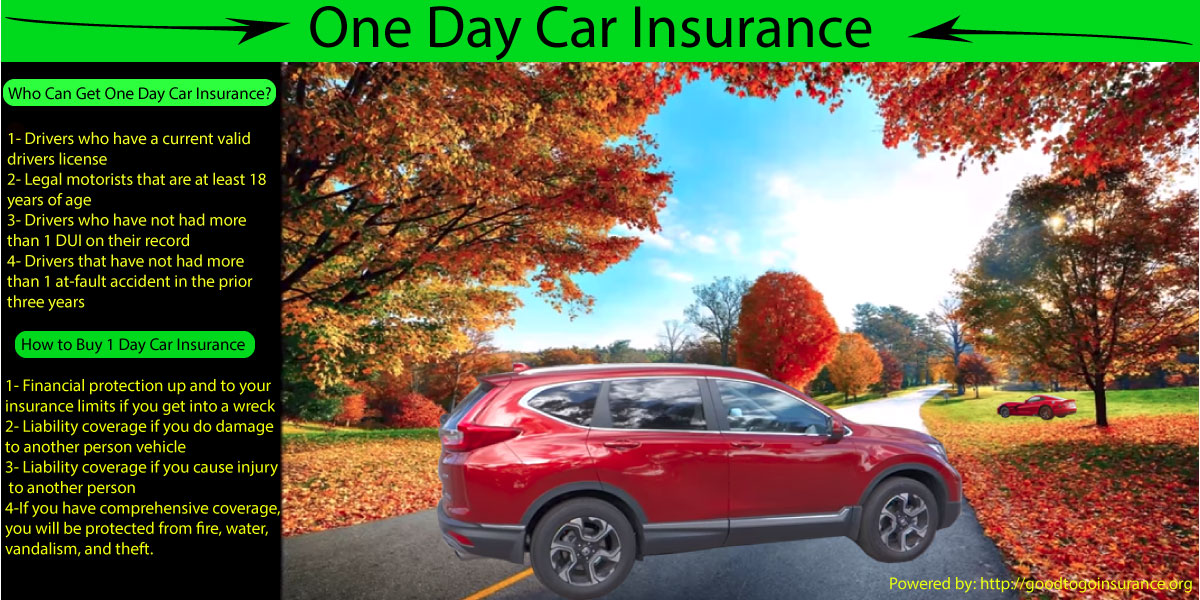 Insurance Car One Day Uk