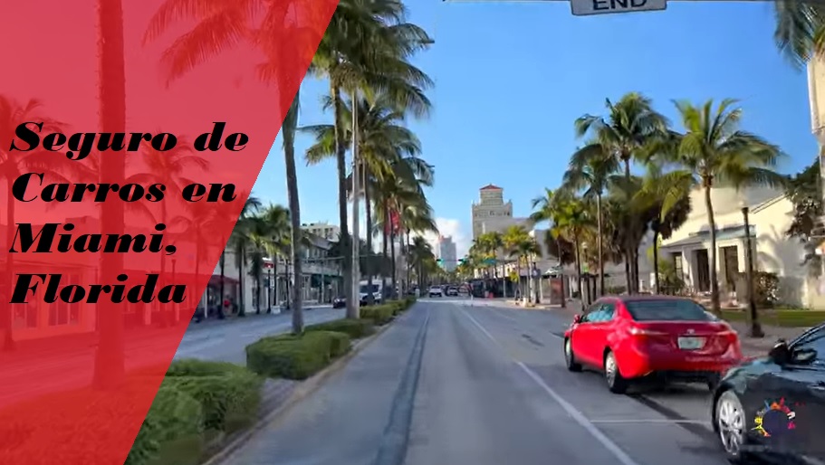 Seguros de Carros en Miami